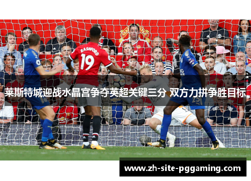 莱斯特城迎战水晶宫争夺英超关键三分 双方力拼争胜目标
