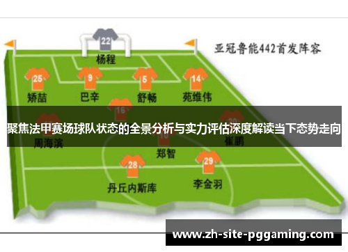 聚焦法甲赛场球队状态的全景分析与实力评估深度解读当下态势走向