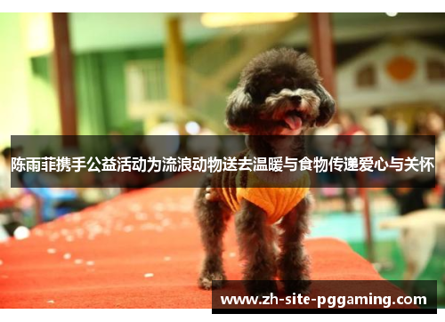陈雨菲携手公益活动为流浪动物送去温暖与食物传递爱心与关怀