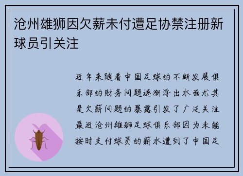 沧州雄狮因欠薪未付遭足协禁注册新球员引关注 沧州雄狮因欠薪未付遭足协禁注册新球员引关注